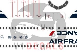 Air France Boeing 737-800 (New Livery - Fantasy)