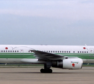 Transavia Boeing 757-200 (Dutch Football Team World Cup 1994 Livery)