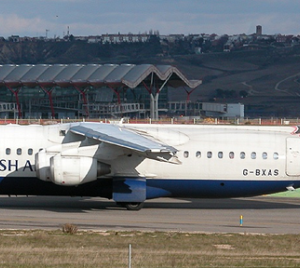 British Airways BAe Avro 146-300 - RJ-100 (Animals and Trees Livery)
